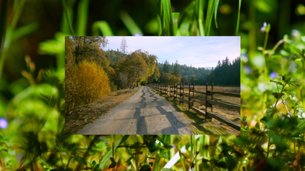 Mineo Has a&nbsp;Chainsaw